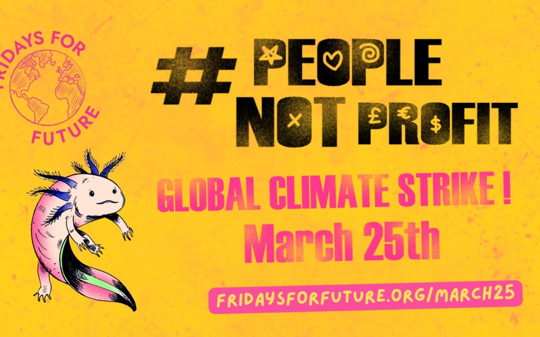 Fridays For Future Canada – Global Climate Strike