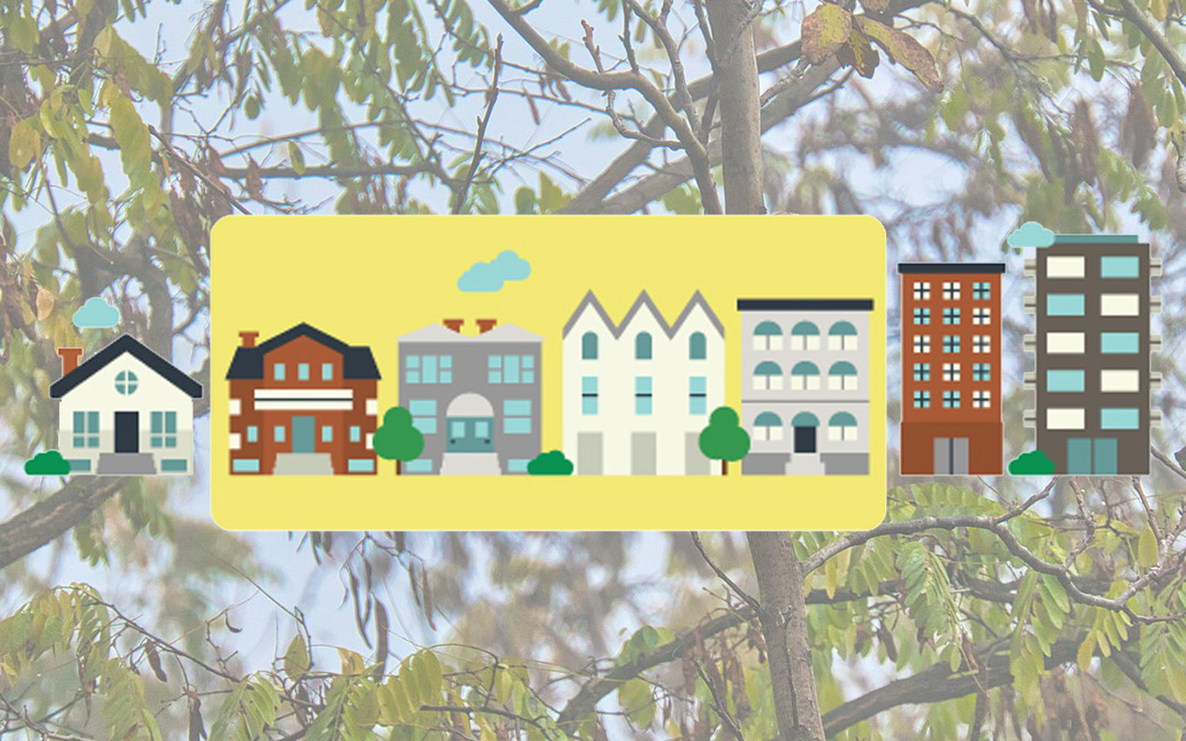 Urgent news for Victoria tree lovers