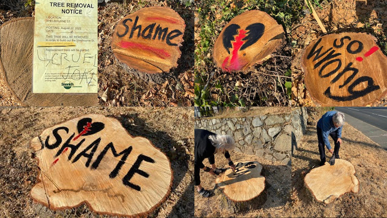 Tree removal should be last alternative