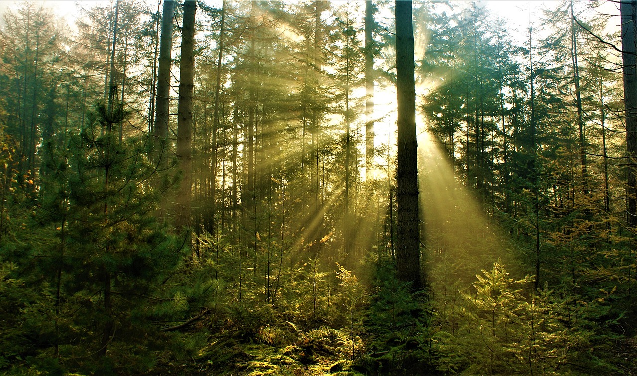 Climate Champions Elected!