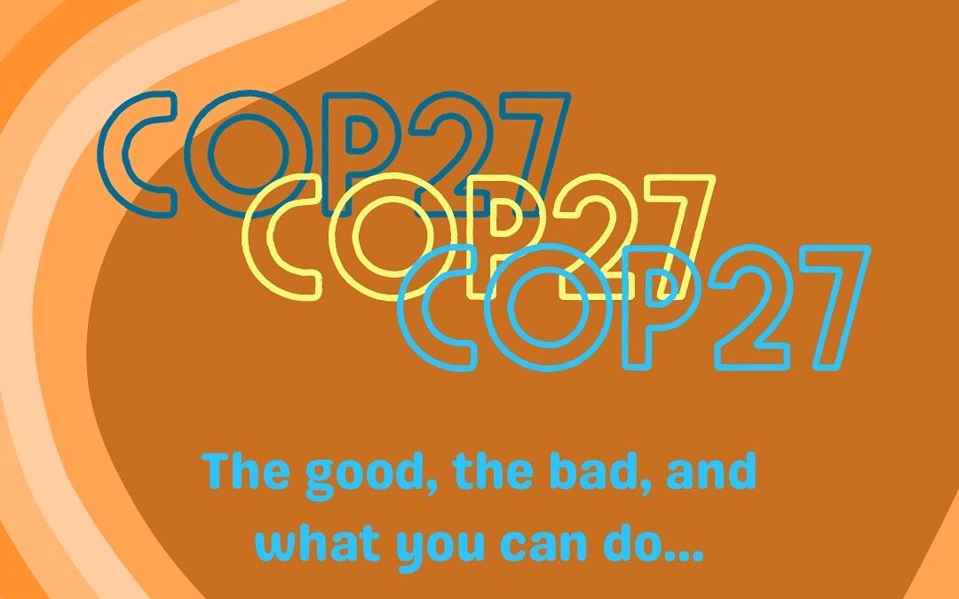 COP27: The good, the bad, and what you can do