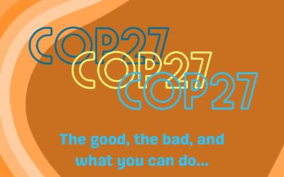 COP27: The good, the bad, and what you can do