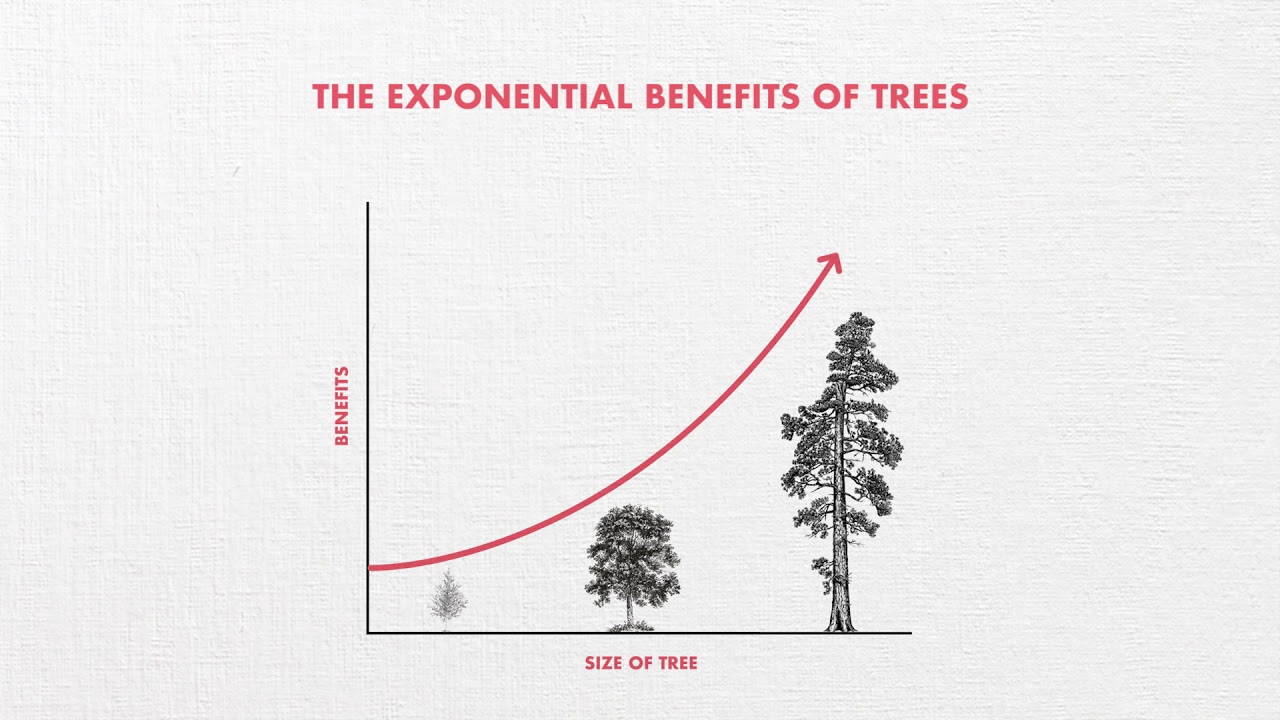 Please encourage Saanich to better fund its urban forests!