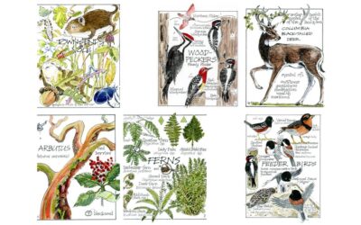 Nature’s Greetings Cards