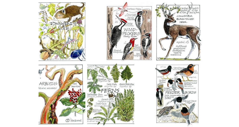 Nature’s Greetings Cards