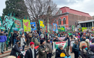 United for Old Growth Rally Recap