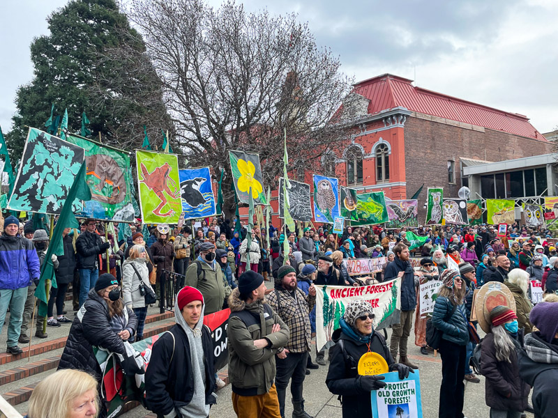 United for Old Growth Rally Recap