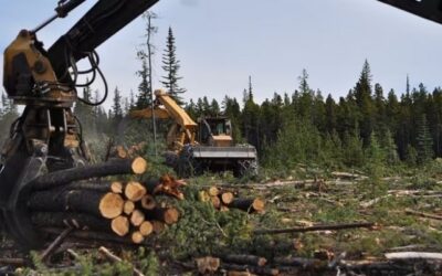 B.C. timber industry in throes of change, as premier warns of ‘exhausted forests’