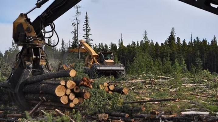 B.C. timber industry in throes of change, as premier warns of ‘exhausted forests’