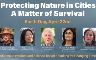 Protecting Nature in Cities: A Matter of Survival – Webinar Replay