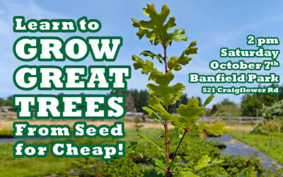 Learn to Grow Trees From Seed for Cheap!