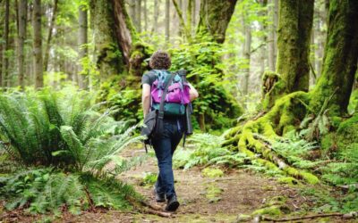 Joe Brewer, Cultural Evolution and Bioregional Regeneration