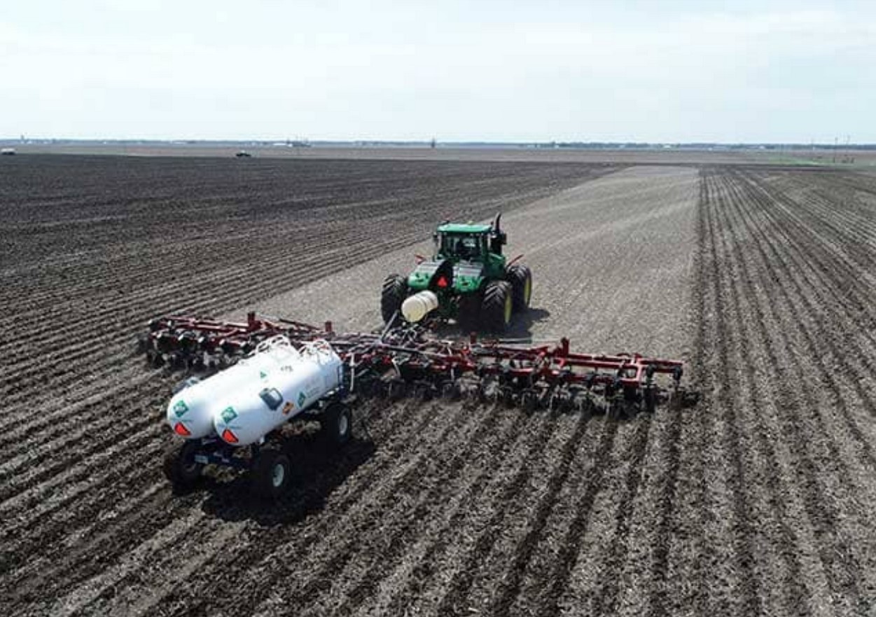 Reasons for Buying Food that is Local, Regenerative, and in Season