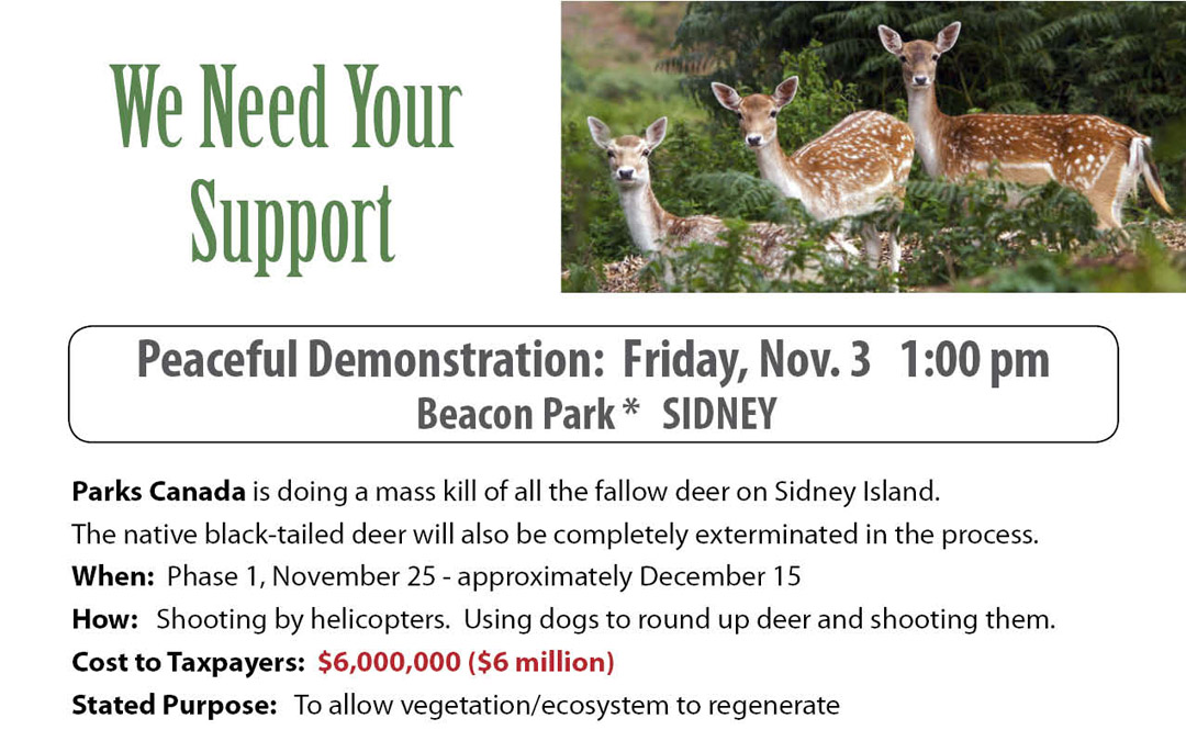 Join us! Save the Deer from Parks Canada Extermination