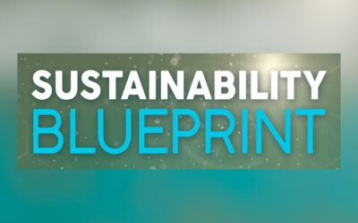 Sustainability Blueprint – New Approach towards Balance and Harmony