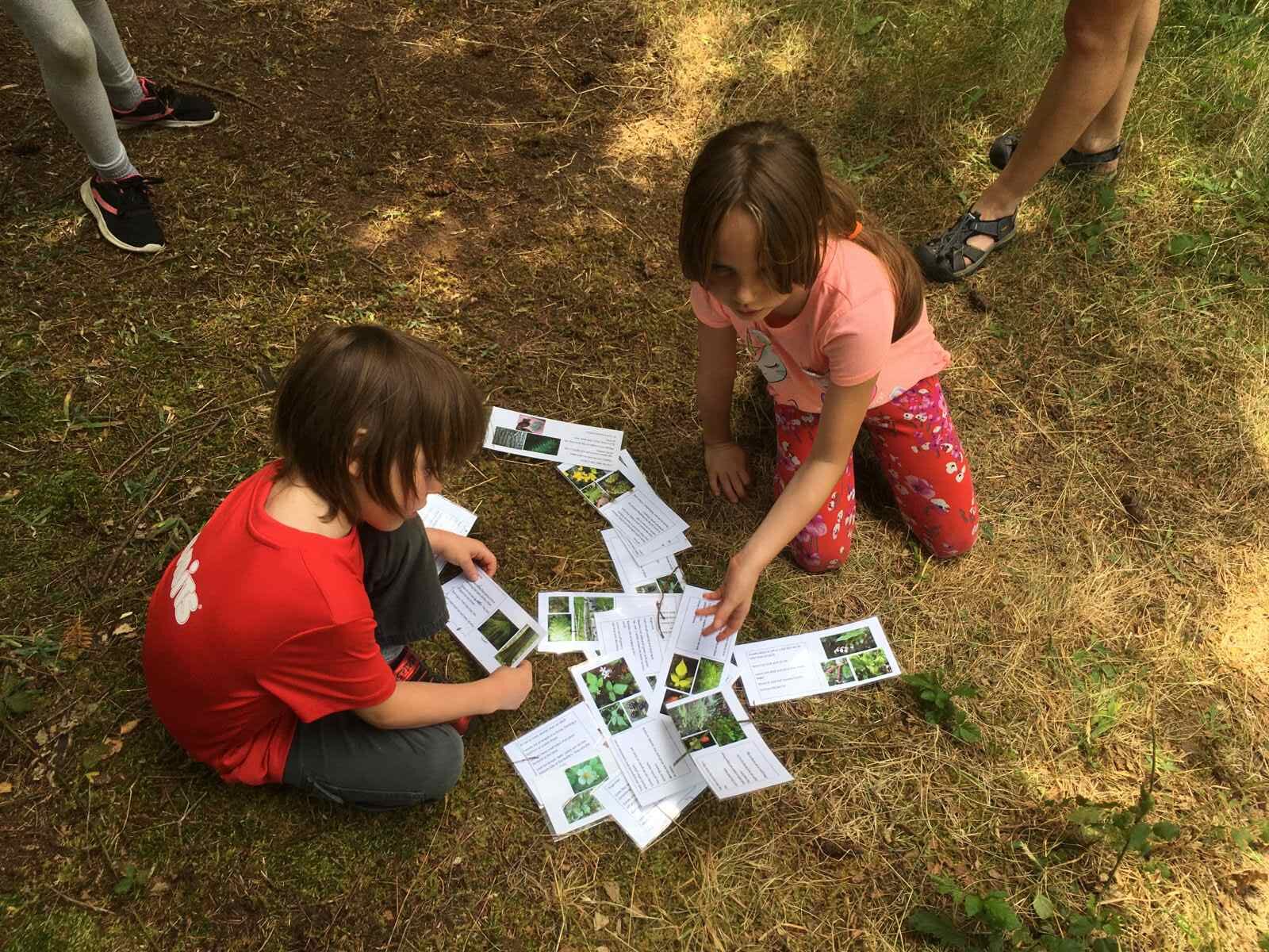 Job Posting:  Assistant Outdoor Naturalist Educator