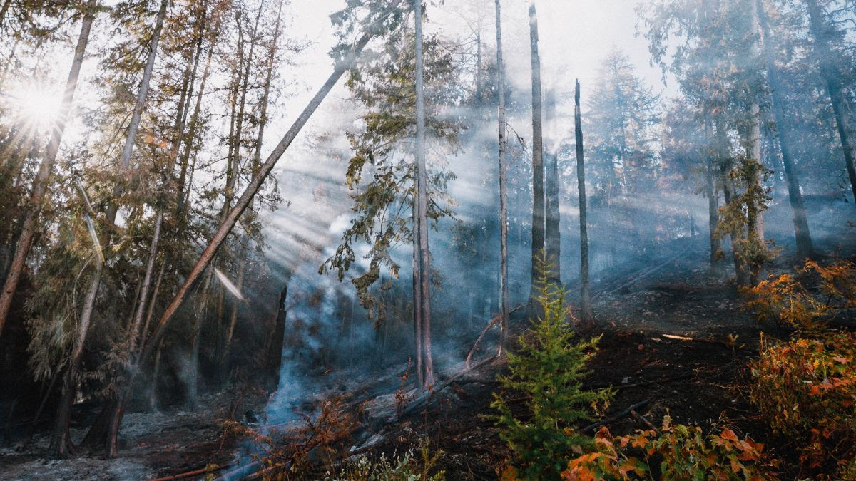 POLIS Launches New Wildfire Resilience Project