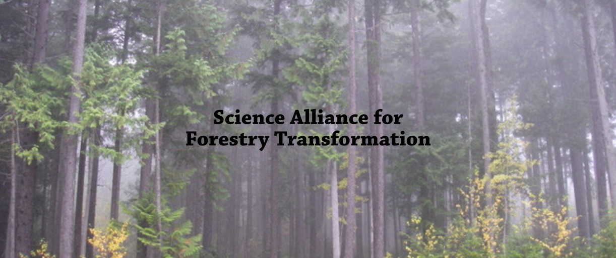Science Alliance for Forestry Transformation February Newsletter