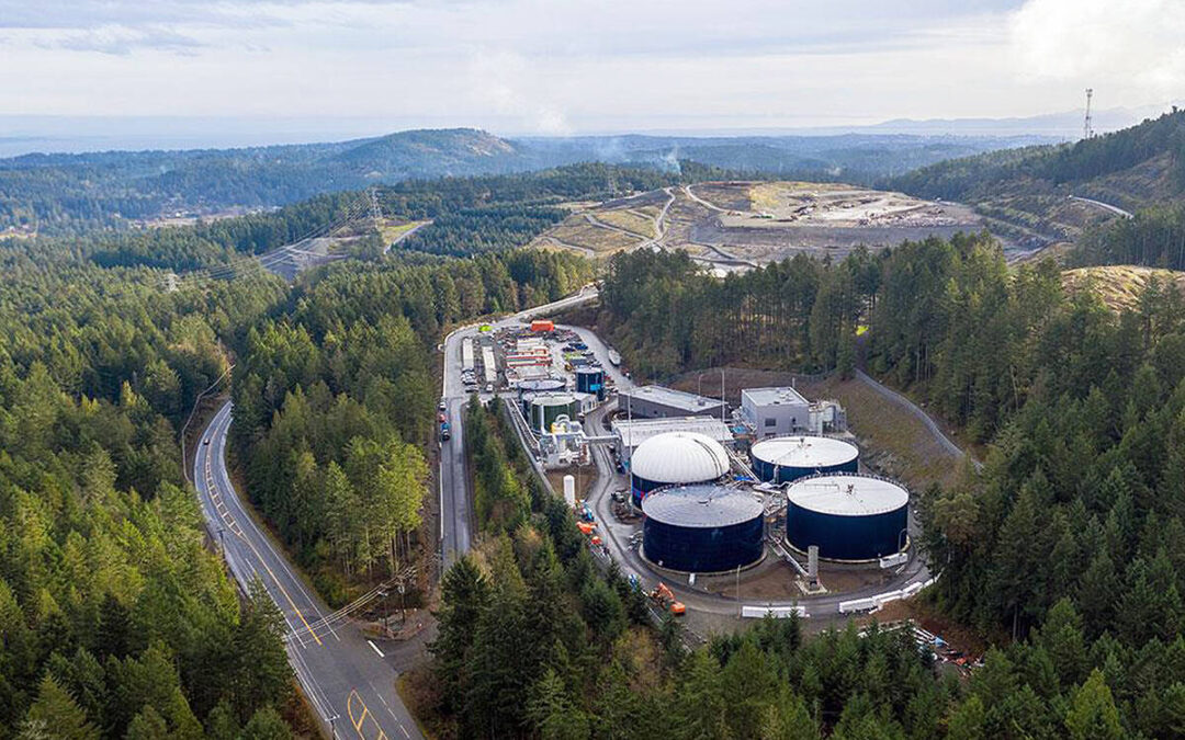 Good News For Long-Term Management of Toxic Biosolids