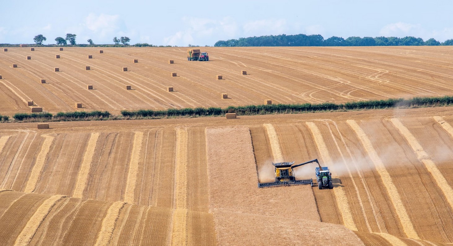 Biochar From Human Waste Could Solve Global Fertiliser Shortages, Study Finds