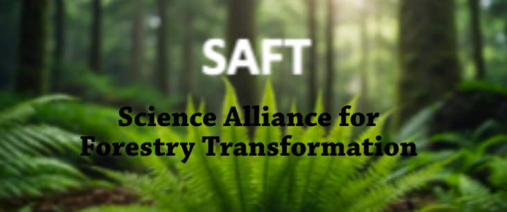 Science Alliance for Forestry Transformation Update