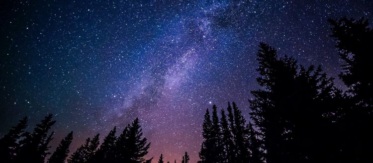 Thomas Berry: Spiritual Master of the Emerging Ecozoic