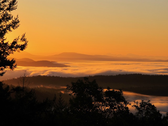 The Undoing of the Islands Trust