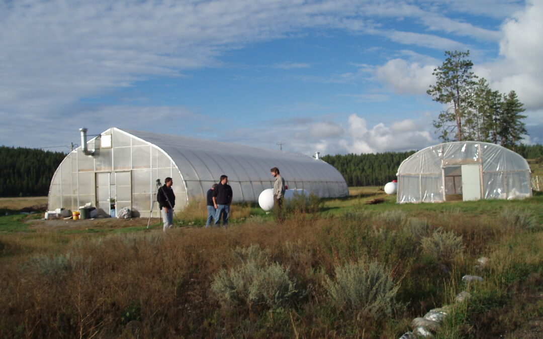 Invasive Species and Novel Ecosystems