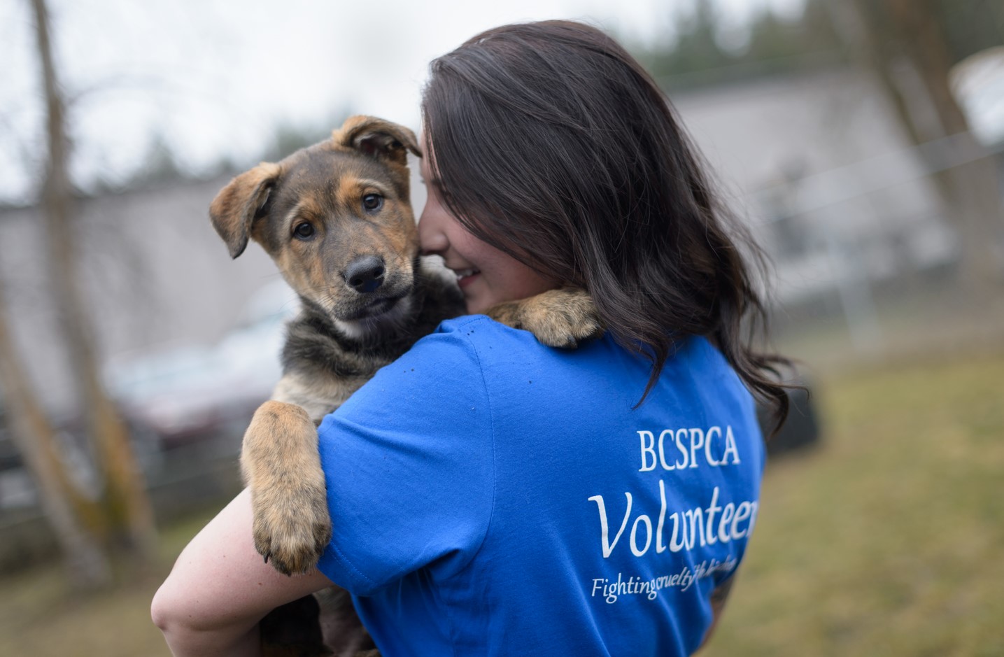 Volunteers Needed for Wild Animal Care