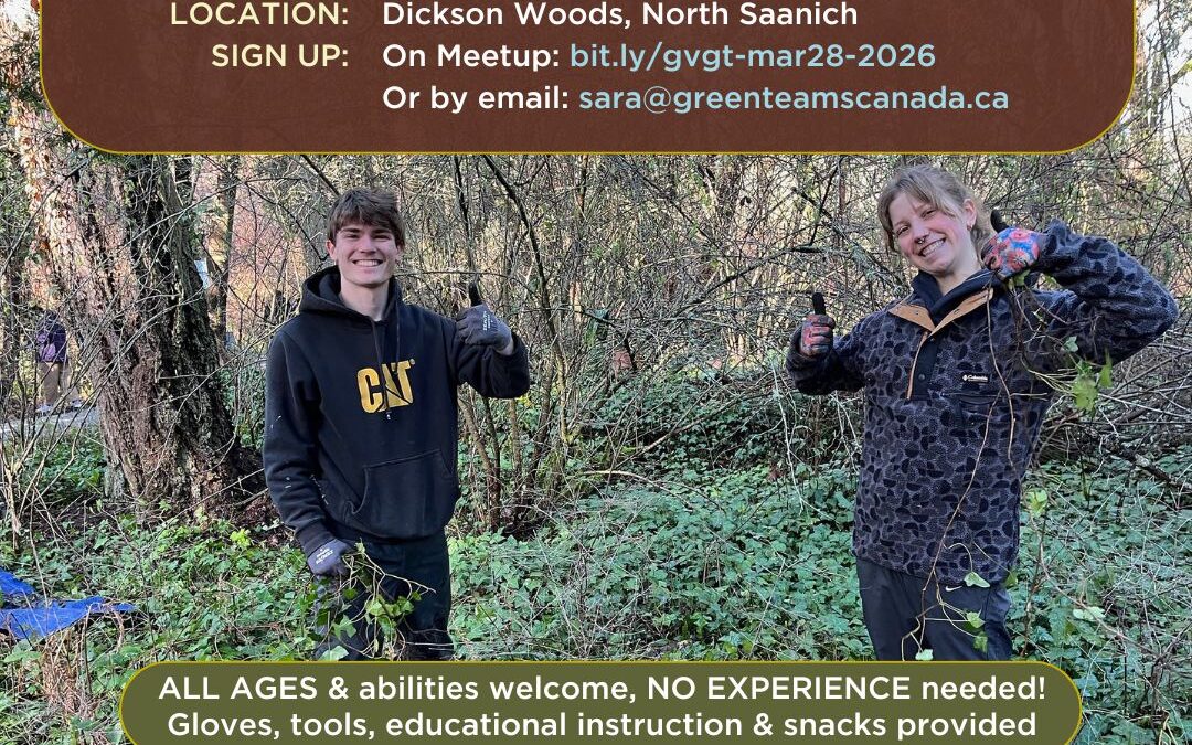 Connect with Community & Remove Invasive Ivy Plants at Dickson Woods, North Saanich