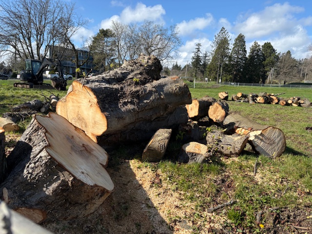 Destruction of Esquimalt’s Natural Assets