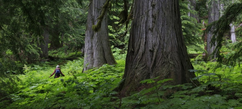 Valhalla Wilderness Society Seeks Support for Parks