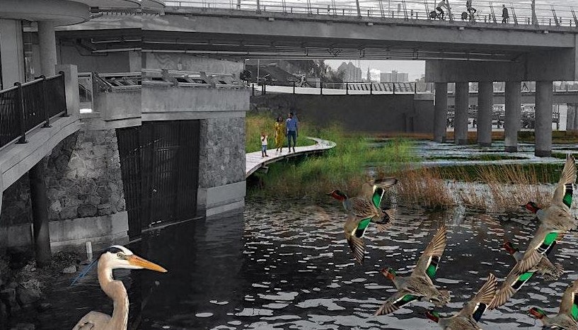 World Water Day walking ‘Johnson Creek’ with GVPN