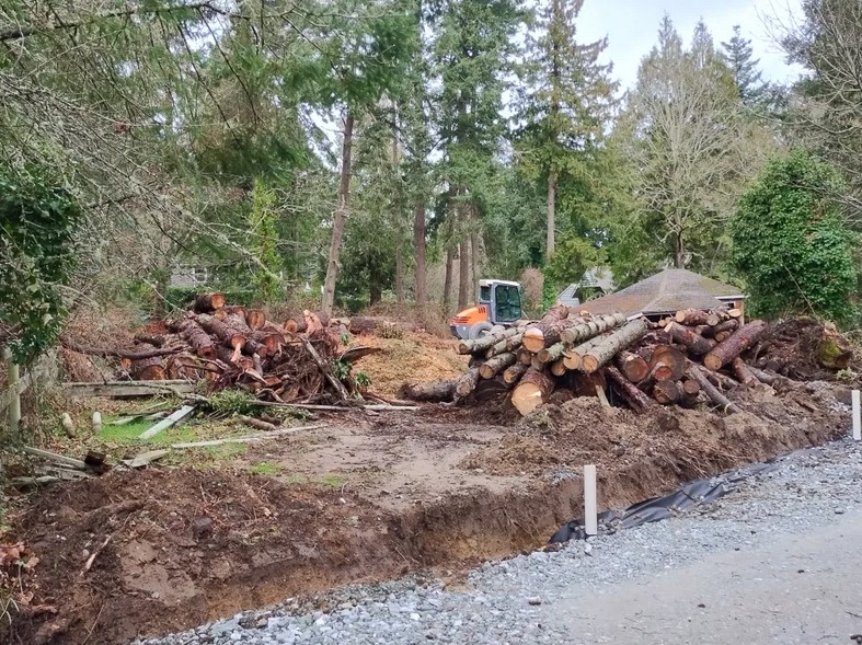 The Infill Shock Doctrine on Arbutus Road: A Photographic Essay