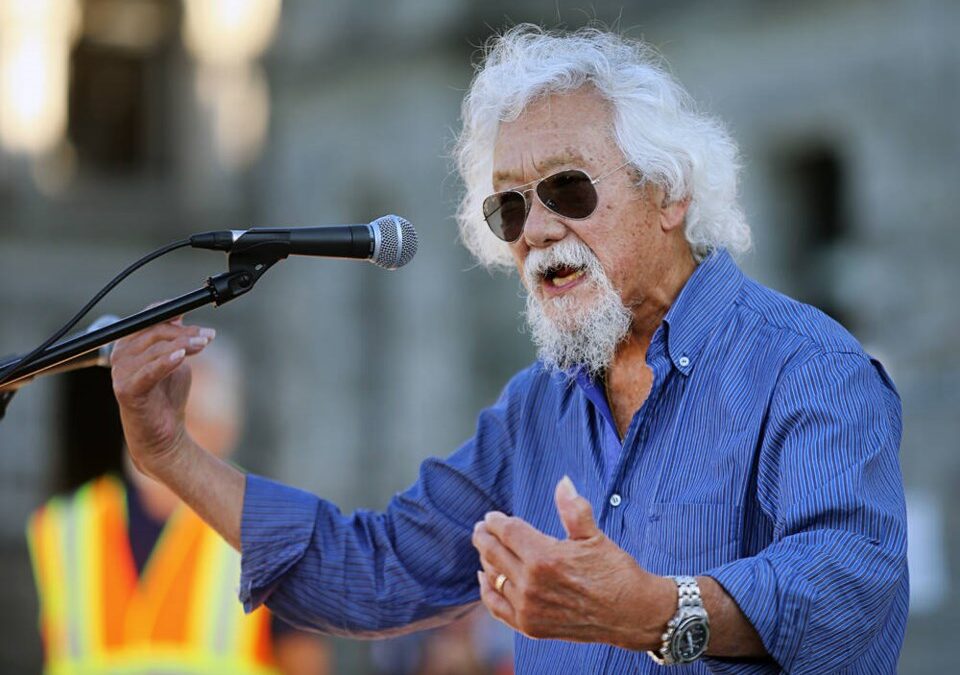 What Does It Mean That ‘Environmentalists Have Lost, Big Time’?