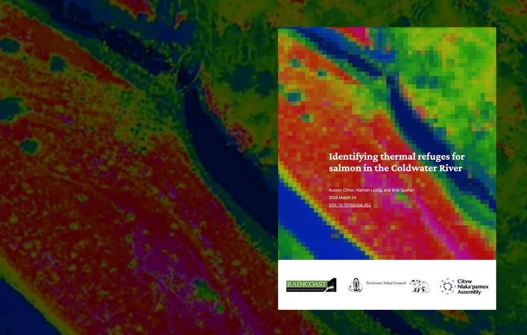 New Mapping Reveals Critical “Cooling Centres” for Salmon in the Warming Coldwater River