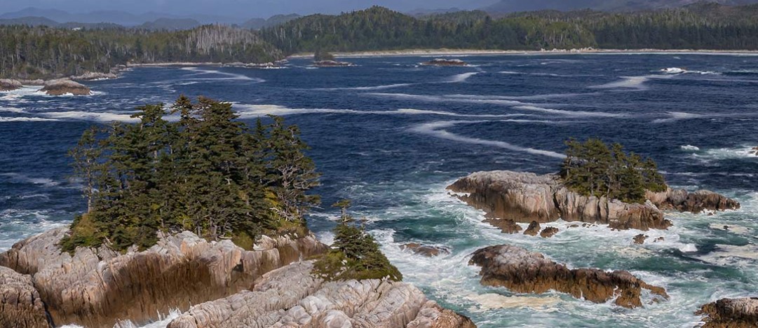 One of the Strongest Marine Protected Areas in the World