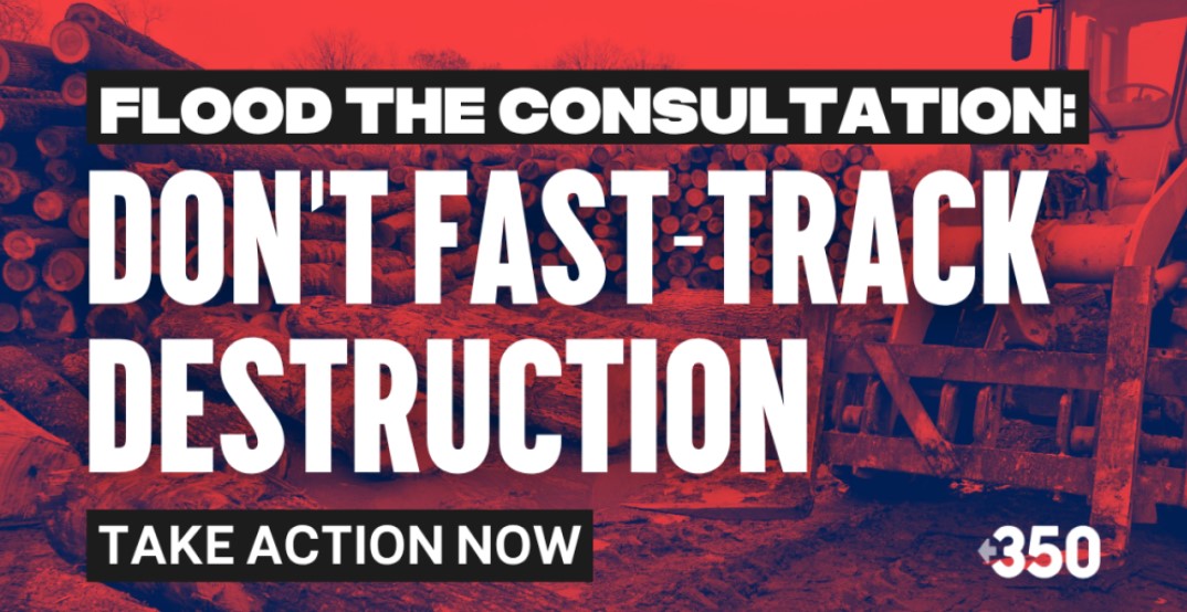 Flood the Consultation: Don’t Fast-Track Destruction