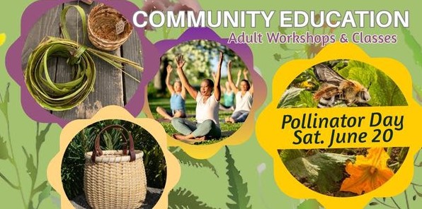 HCP Summer Classes