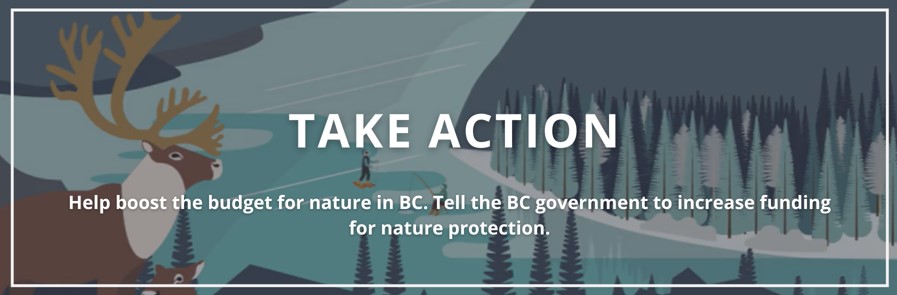 BC’s Budget 2027 Consultation is Closing Soon and Nature Needs Your Voice!
