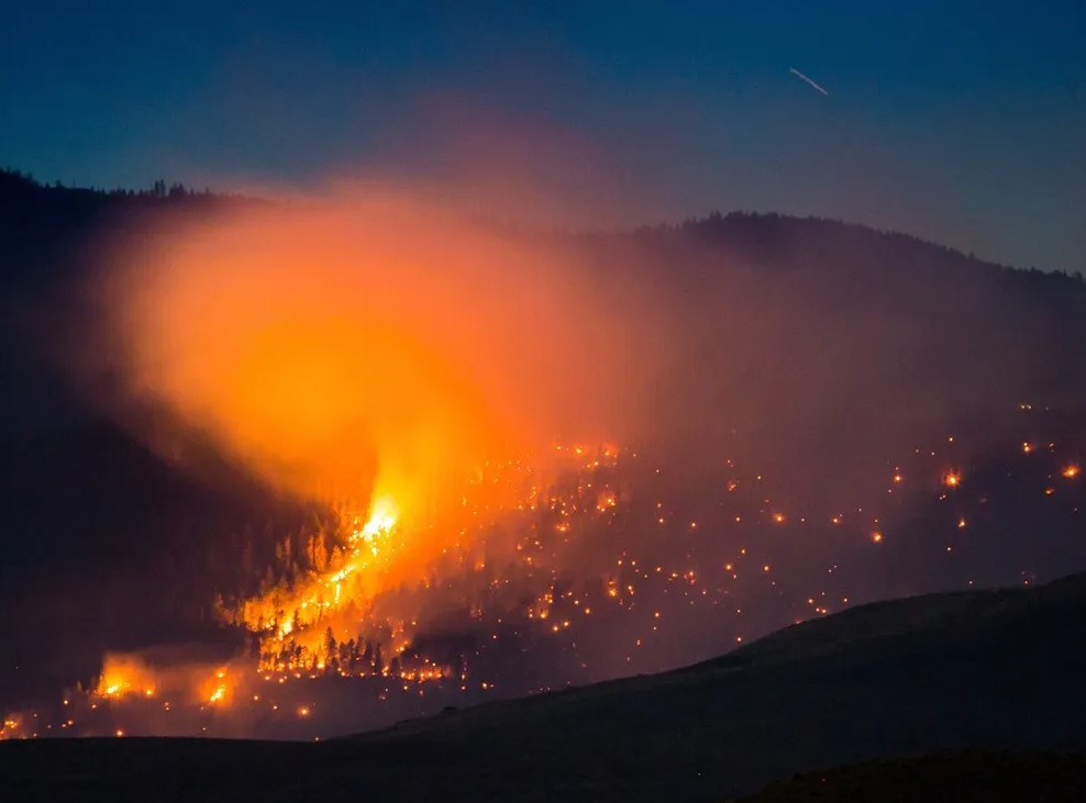 Better Government Coordination on Wildfire Resilience Will Make B.C. Stronger