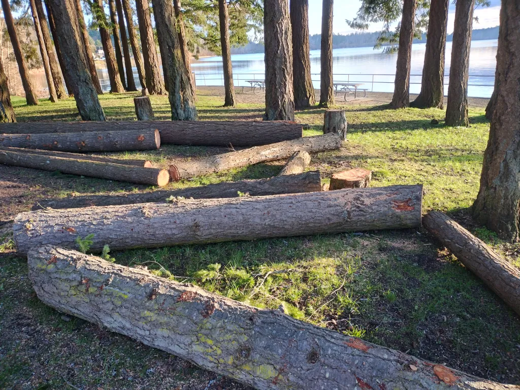 Petition Launched: That the CRD be Fully Transparent in Regard to Its Felling of Trees by Elk/Beaver Lake: