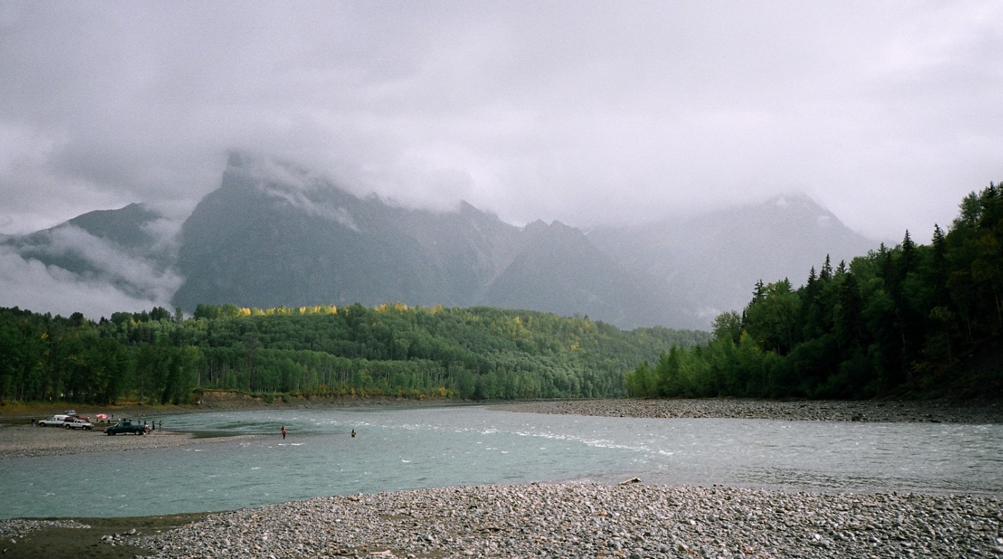 Petition to Gain Legal Habitat Protection for American Goshawk at Haida Gwaii and the Skeena Natural Resource Region of Northwestern British Columbia