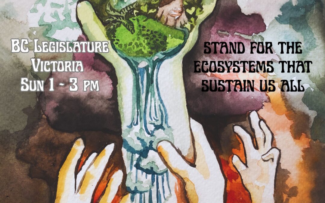Hands Off Old Growth Rally